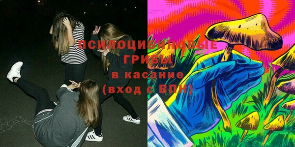 твердый Бронницы