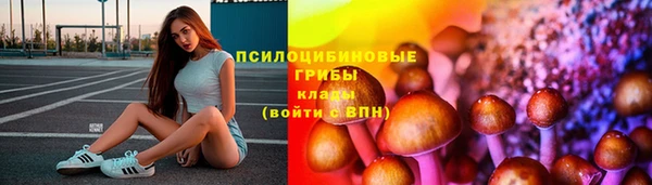 твердый Бронницы