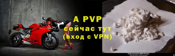 дмт Верея