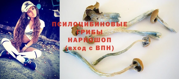 мяу мяу мука Бугульма